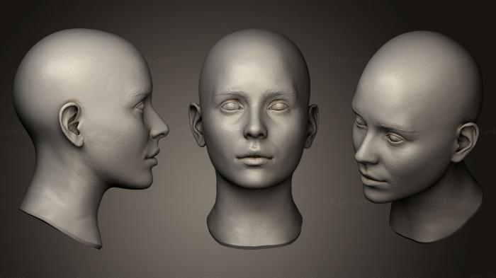 Anatomy of skeletons and skulls (Female Head 3, ANTM_0106) 3D models for cnc